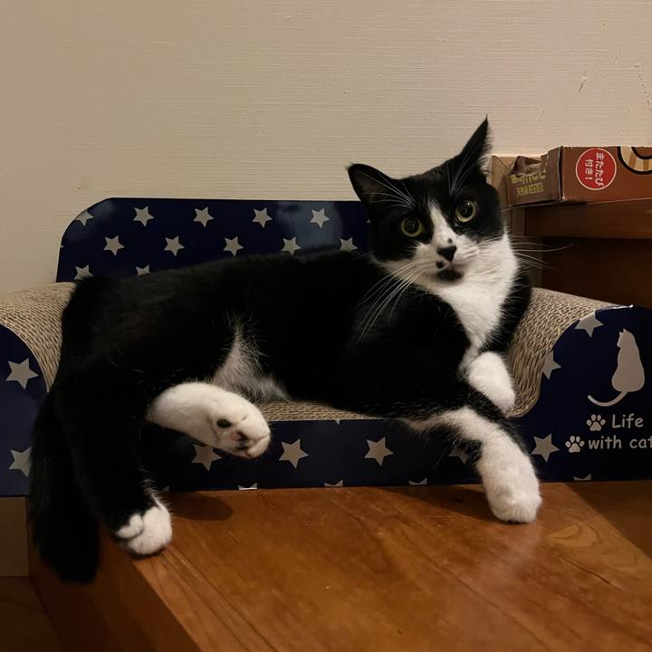 82b2cbae 88ae 4611 b0f4 fe1e64450e6b 1695902890098