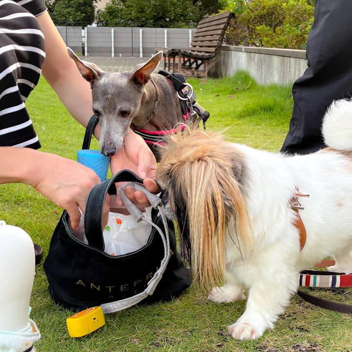 82b2f32d 9422 4824 9542 6c844a027992 1760703429128