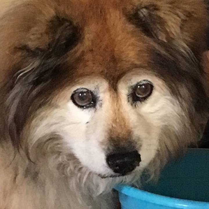 82b2f882 d302 43c5 8312 73dccb049852 1590806923780