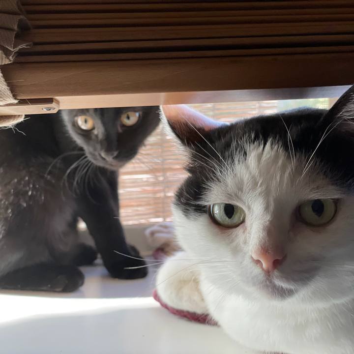 82b2fe56 acec 489c b05a 9875e5d05f85 1674758996950