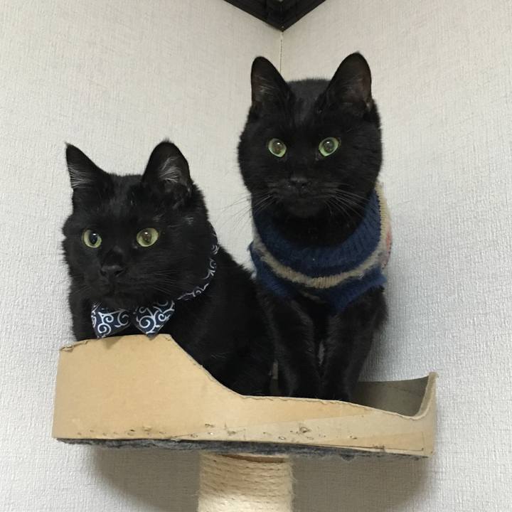 82b37ec5 36fa 46f0 8f23 ee20e9a4635a 1549455383912