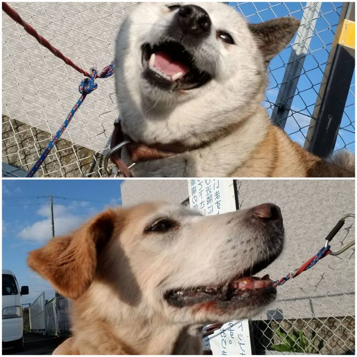 82b38092 7e2b 4dc2 943c 145fca3879a6 1750625209884