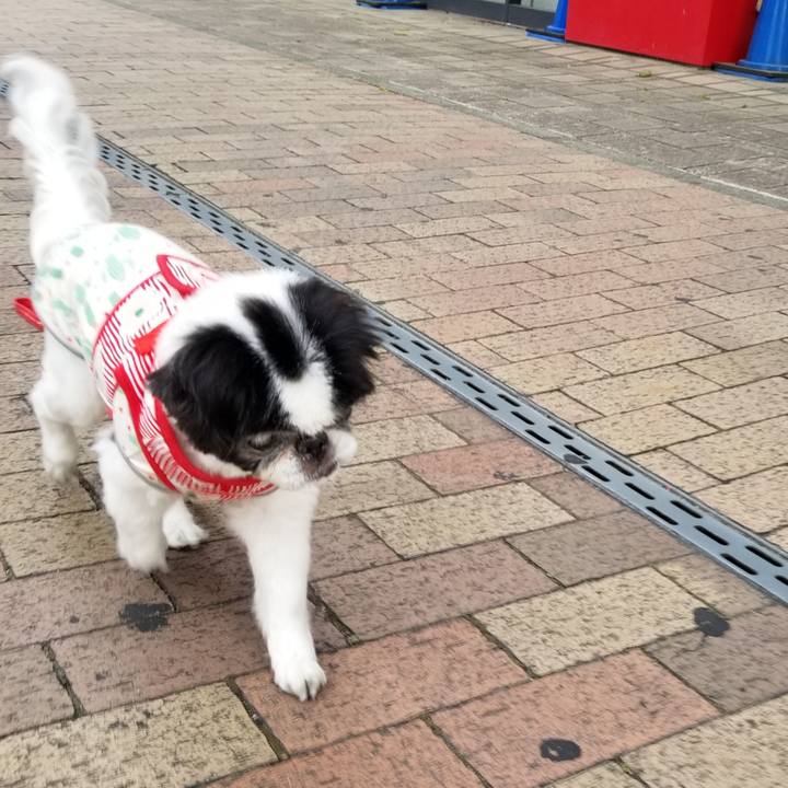 82b38c2a 23e4 4e00 8903 0db33d5cf26d 1620818129040