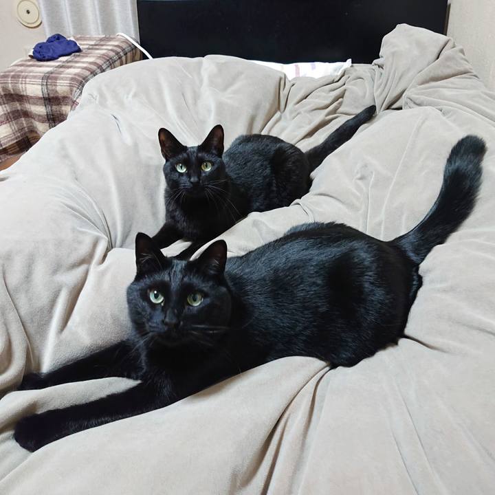 82b3f9b8 2e31 4247 b467 8d1c323c82f3 1647440862265