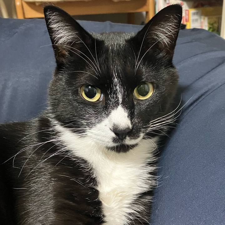 82b43c84 fe88 4eae a58f bfb48ec90e10 1668482537781