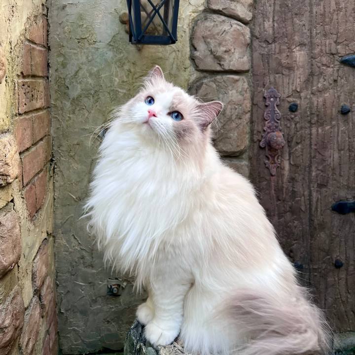 82b476a8 8fdb 4ba4 980c 2283affc4f16 1661772357942