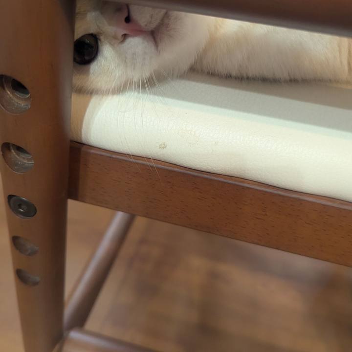 82b4a743 9791 4a9f 90a4 b73393cd0b3f 1780657155691