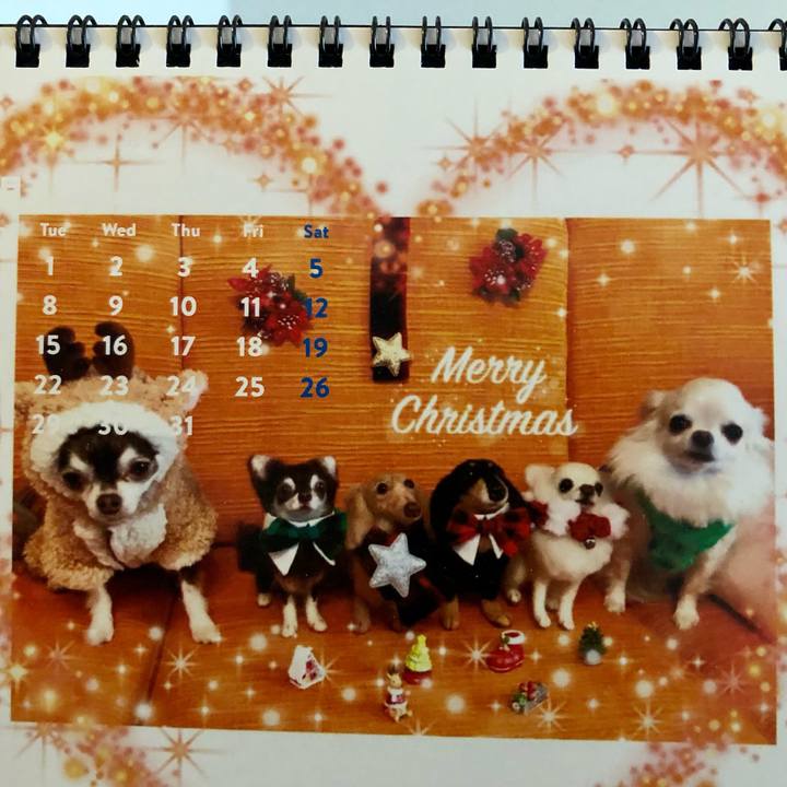 82b4b440 7b7d 43b8 aceb d4e52f89170b 1608766395337