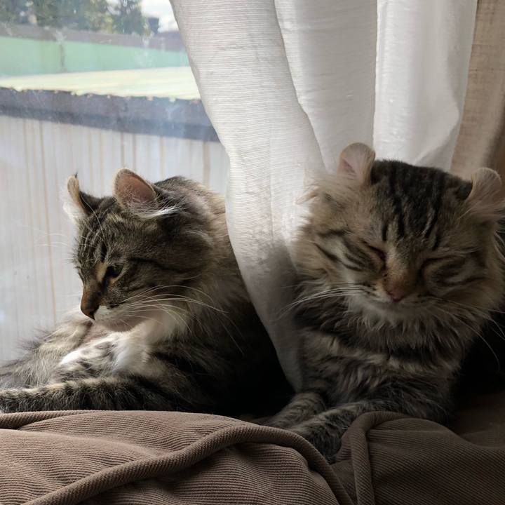 82b4d94f cf14 48d0 a4d4 b47bd50e442a 1525398560985