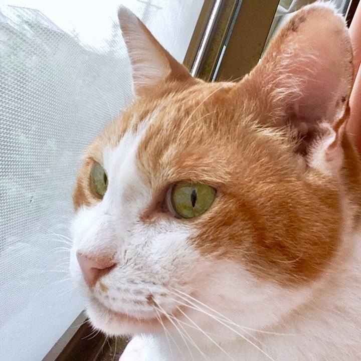 82b51a06 cfe4 4fe9 881a 878c2aeda03c 1569214926458