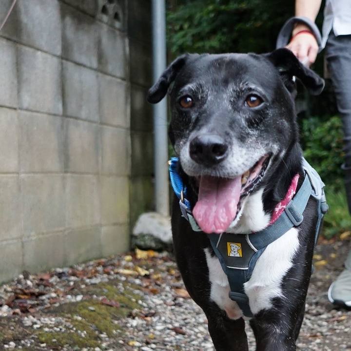 82b53db5 2a6c 44a0 ba8a 933efef1a188 1757635401449