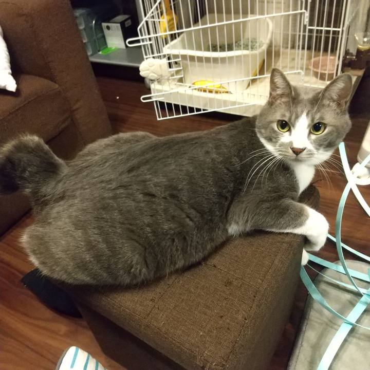 82b54cf1 f2e7 4c7e 85cc ff6fc178e3fe 1614351617688