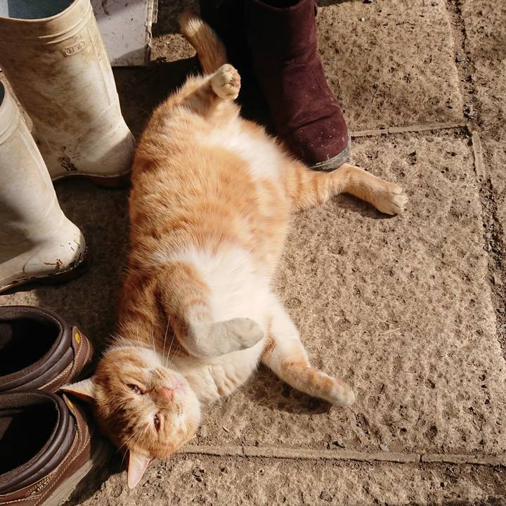 82b56ce9 7bd5 43ba a31b 1d008d73b2f5 1578797834108