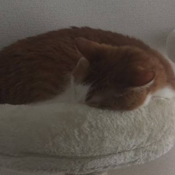 82b58292 b153 4ca9 8dff 7a0251d0f8ed 1584489757539