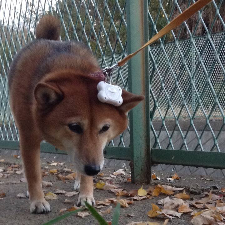 82b5ef1d 3f83 49c6 8f41 642f92d9150b 1512120129454