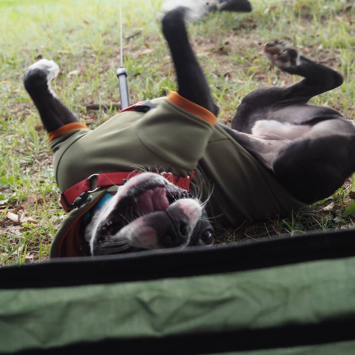 82b60464 6353 42f3 856a 0ba7999b1984 1601716438150