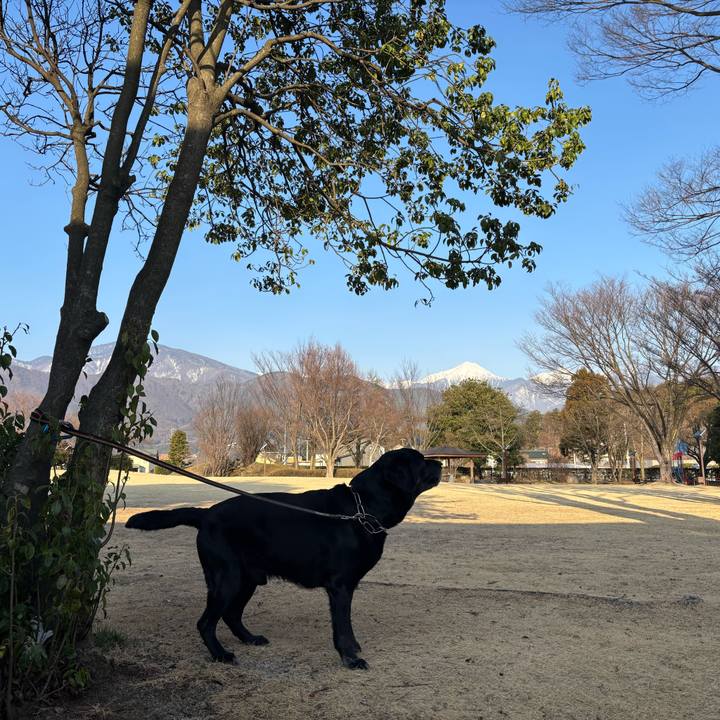 82b640b5 bf39 45b8 856e ad5a2731770f 1774093408193