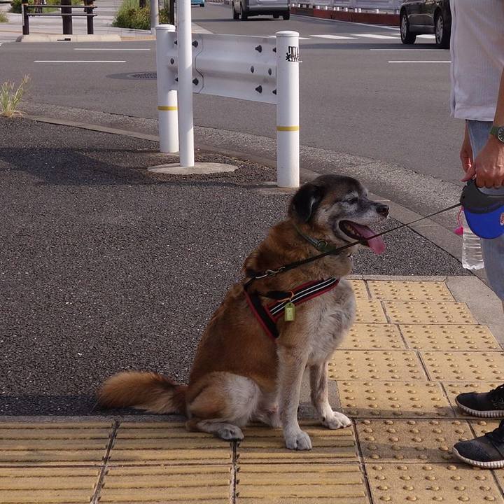 82b640d5 d69f 4637 ae35 629b634e9188 1566087212006