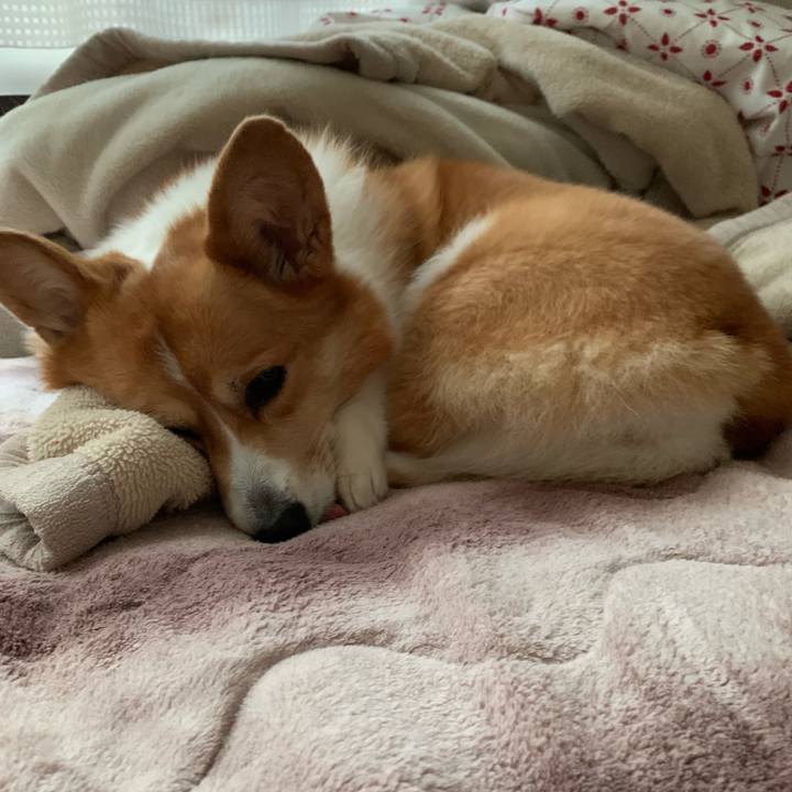 82b69ed9 4298 473a b885 48425d973226 1605856345721