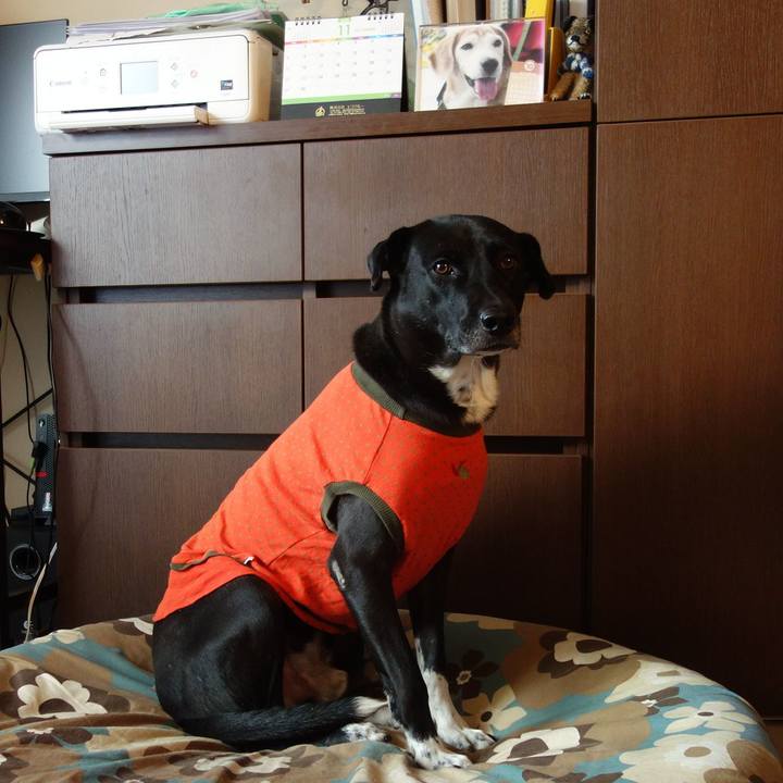 82b6a5c7 f3ae 4290 a0b6 04f51088b4d5 1605520571505