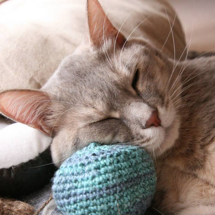 82b6a8a3 aa99 4ed0 a47b e1b1053c79dd 1510398066959