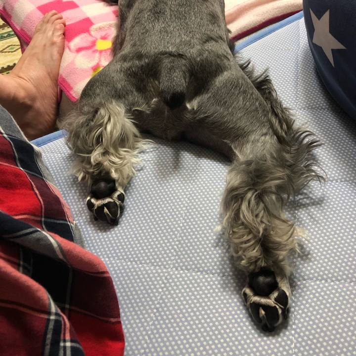 82b6c885 ce2b 41a6 84c3 cfcea0509df6 1594044369647