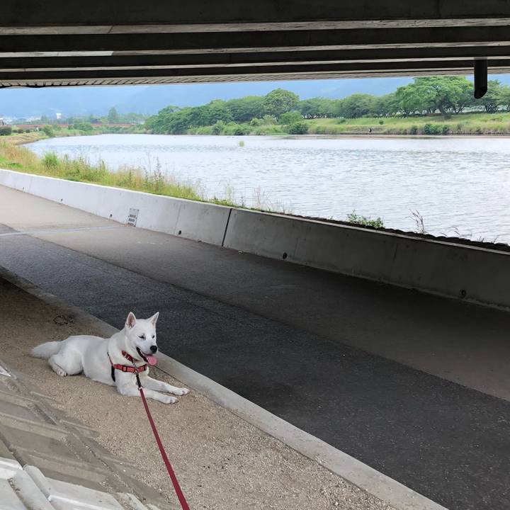 82b6f7e7 3da4 4773 8701 8ee15d6009ed 1528015112605