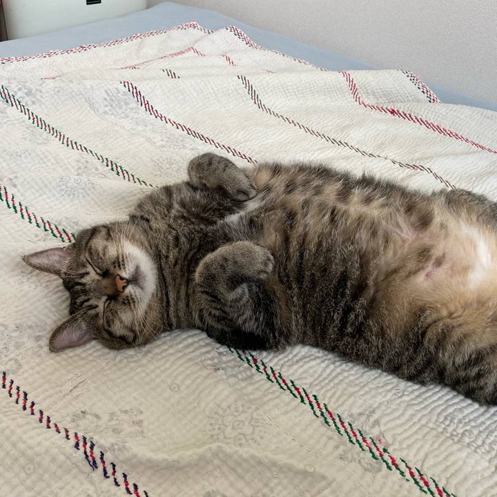 82b72099 8c53 4b30 a36c 95635ddf1baa 1726099244704