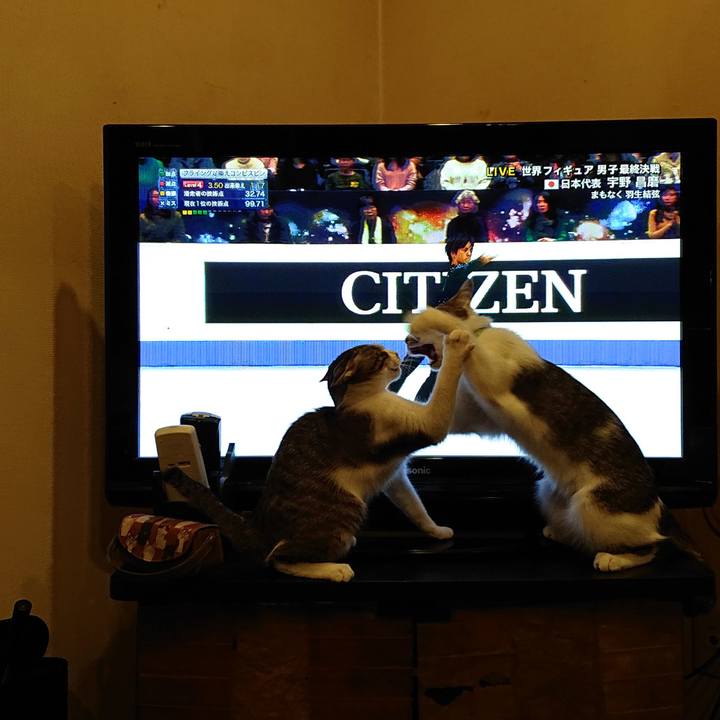 82b7322e cd31 4b95 9ffd 2da0305adfbc 1553345313144