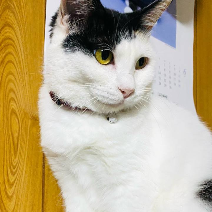 82b73f38 00af 47e4 be9b f967c8d1837f 1654962911460