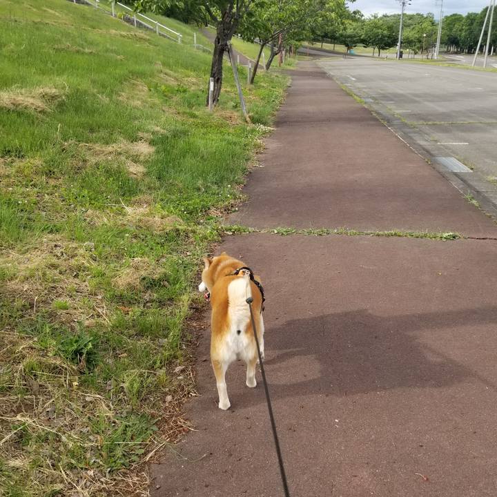 82b7409d 270b 412e 9924 36f11c9f25a7 1716795293776