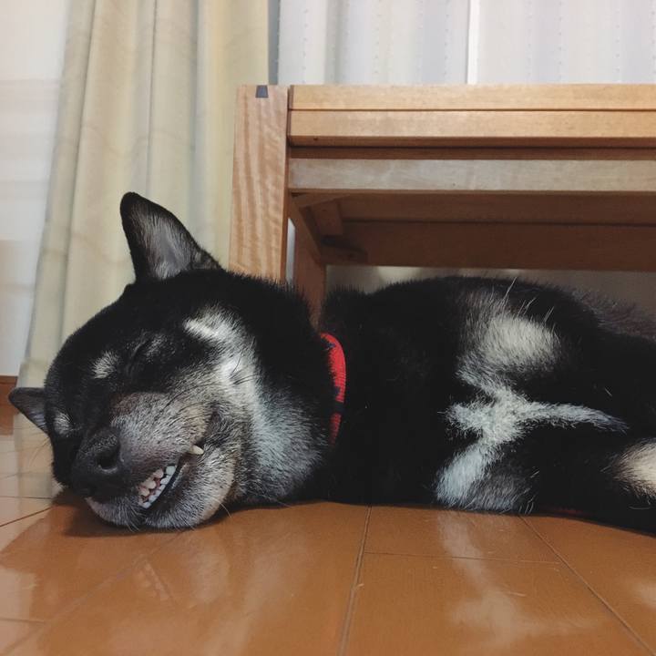 82b7a58b f85a 4dfe a485 9f910b5da164 1560702625047