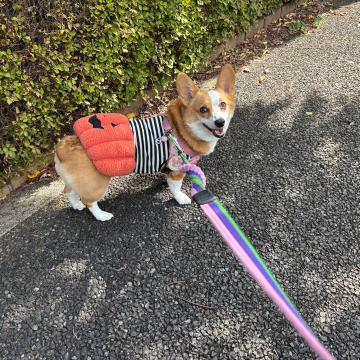 82b7be17 f0e1 462e bbdd 786a9ca00fa5 1761710919102