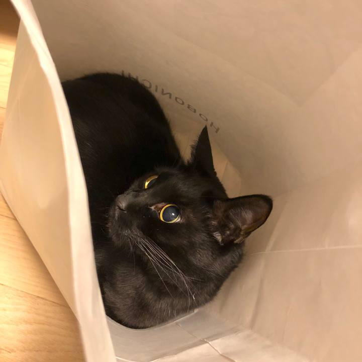 82b80ae8 65a5 4e92 89e0 e4ddae0253e5 1579092449385