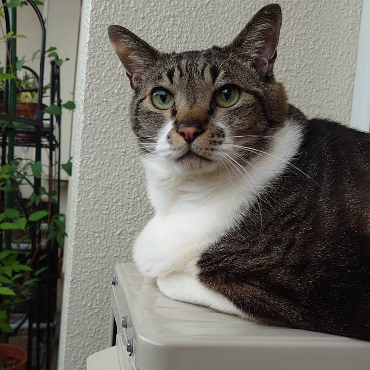 82b85163 8a0a 49ad 97f7 726d8897e794 1652142443466