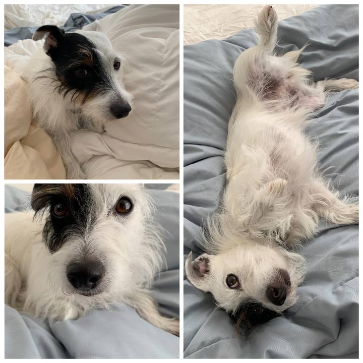 82b895a0 c6e3 421b bde8 7ab508007a19 1572579829225