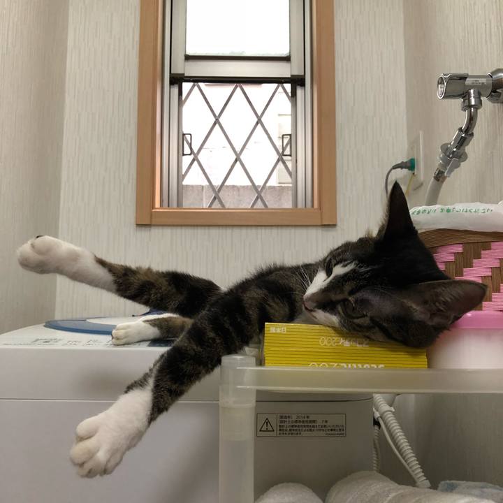 82b8b7bf ef63 4901 b9df 3788fbb5e8bd 1536782567810