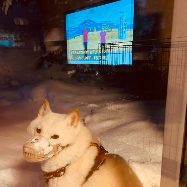 82b8c8a1 2684 436c 9d05 78ed549ed88c 1767910812498