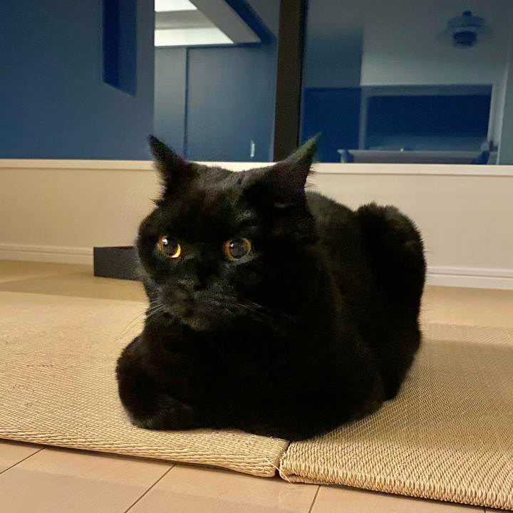 82b8f018 a33b 403b b7a4 e1d452b7c320 1652095423534