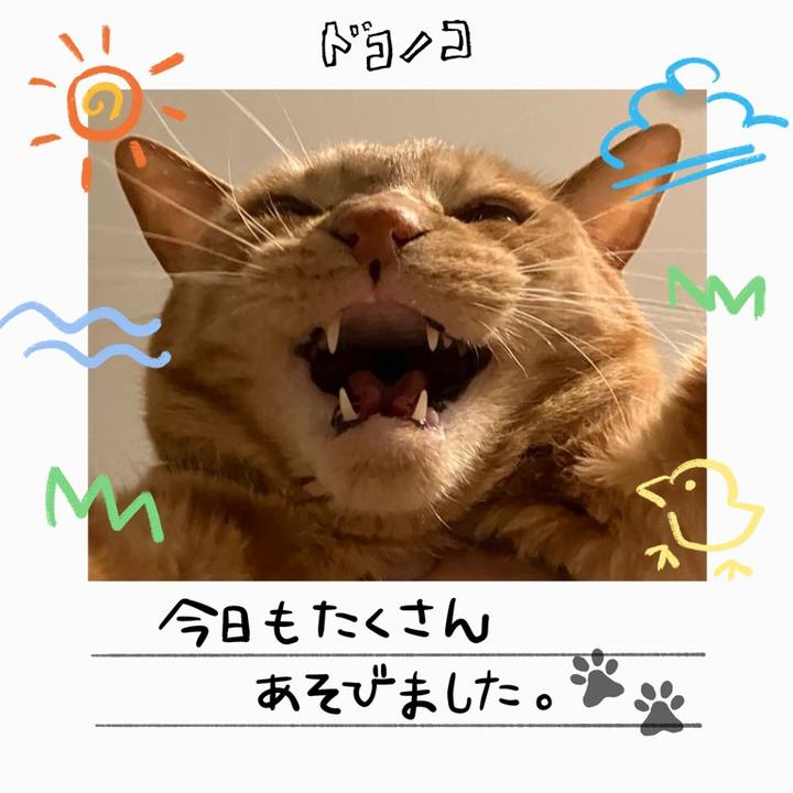 82b8f80e 9dc9 4a23 8946 2aa3b1333fa0 1755303961663
