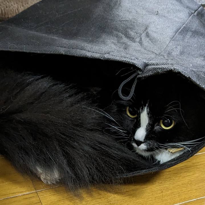 82b91e42 8569 40bd 9e00 325b6bf41d8a 1698097358123