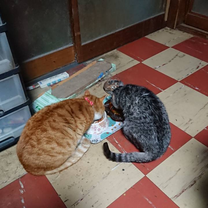 82b94b32 0128 4700 bf6c 0dd2fca06e92 1576526032389