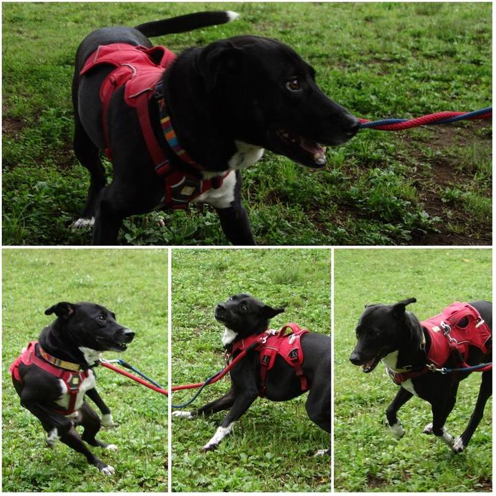 82b955d0 fb11 4c9e 8c0f a77d537e44a2 1621644872657