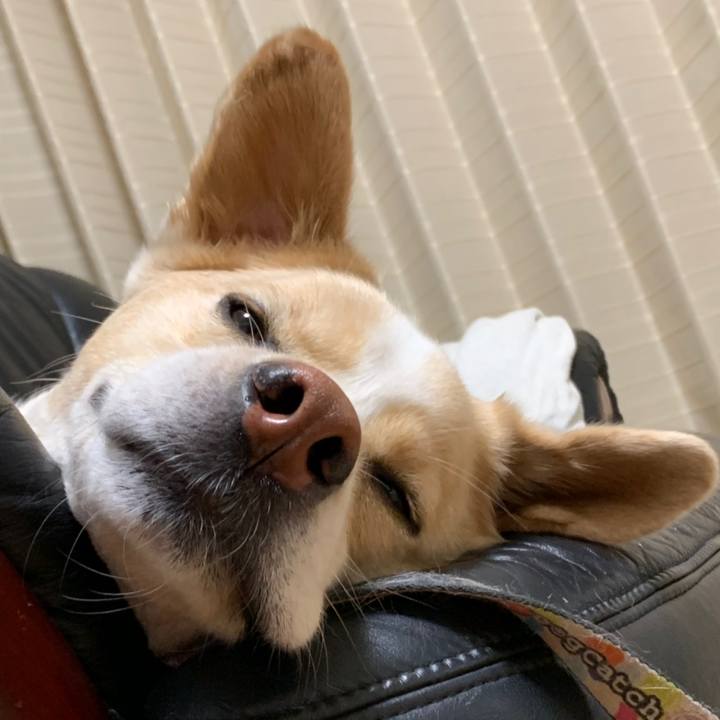 82b95a28 673f 4ce2 b209 3f0d451f6a48 1558708446482