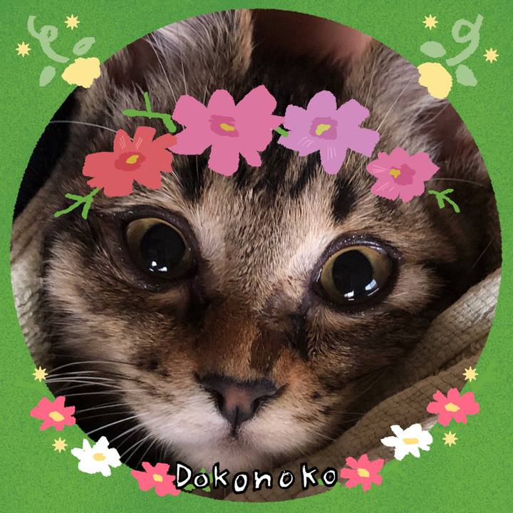 82b9ba04 26e1 4b84 8156 6323716b7e71 1726874217302