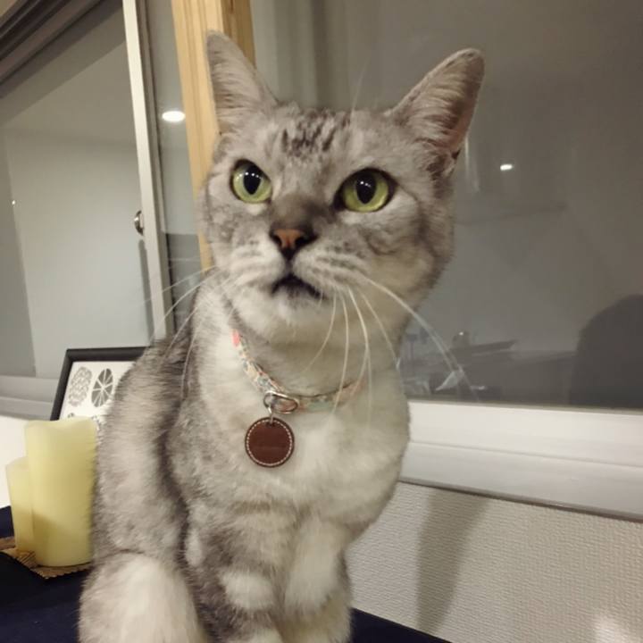 82b9bb26 d95f 4a39 afdb ffac2ea9344e 1602303575339