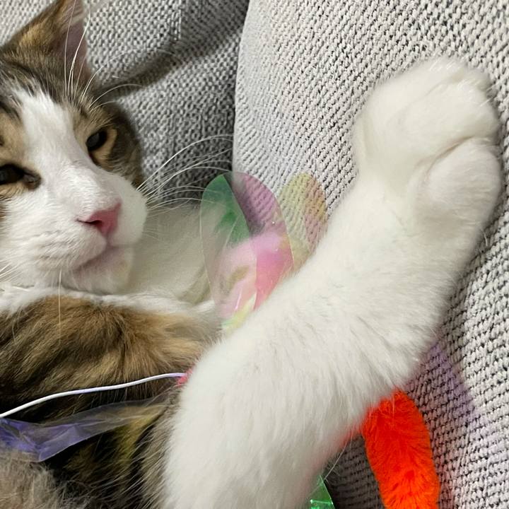 82b9d0cb 87c0 47be 9dad a04495ef42d6 1636379414793