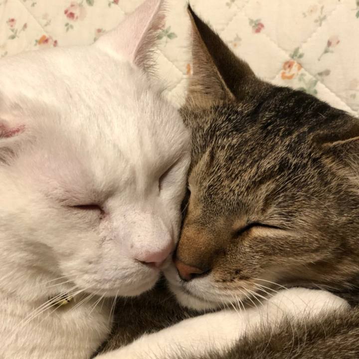 82b9e14b 7408 4a12 af17 e5d3d75a8e9a 1707833899938