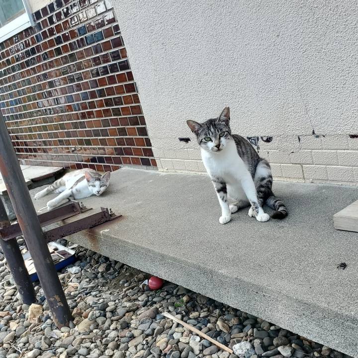 82ba1851 555d 4b6f a666 adbb7a0060b9 1756127879282