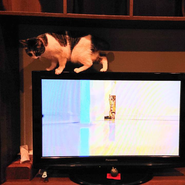 82ba6869 3d0e 4910 a70f c5594f15f979 1586995536967